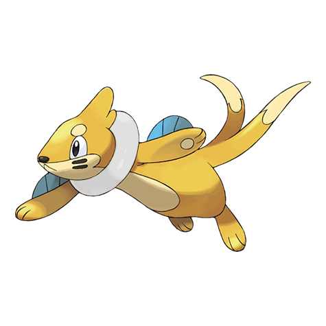 Buizel Shiny