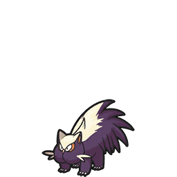 Stunky scarlet-violet