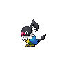 Chatot black-white