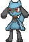 Riolu Animated