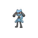 Riolu ultra-sun-ultra-moon