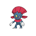 Weavile ultra-sun-ultra-moon