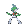 Gallade black-white
