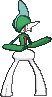 Gallade x-y