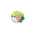 Shaymin Land omegaruby-alphasapphire