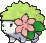 Shaymin Land x-y