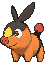 Tepig animated