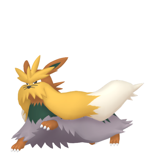 Stoutland home shiny