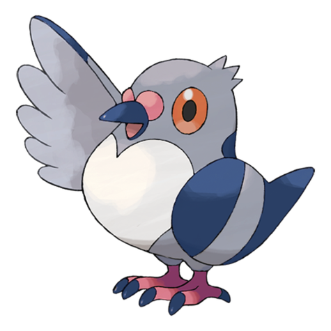 Pidove Shiny