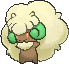 Whimsicott x-y