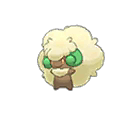 Whimsicott ultra-sun-ultra-moon