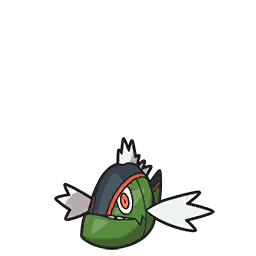 Basculin Red Striped scarlet-violet