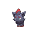 Zorua ultra-sun-ultra-moon