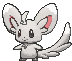 Minccino animated