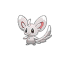 Minccino ultra-sun-ultra-moon
