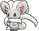 Cinccino animated