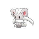 Cinccino ultra-sun-ultra-moon