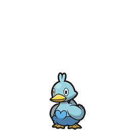 Ducklett scarlet-violet