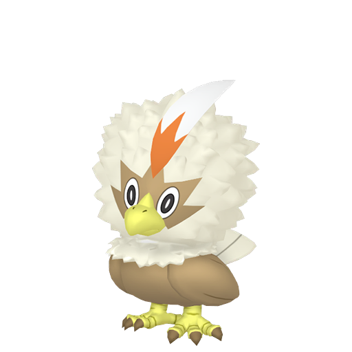 Rufflet home shiny