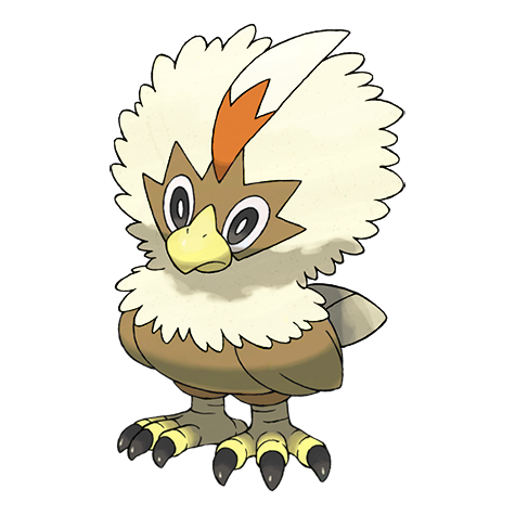 Rufflet Shiny