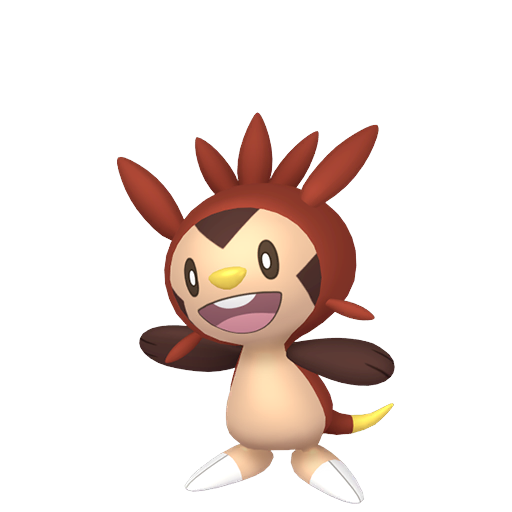 Chespin home shiny