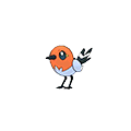 Fletchling omegaruby-alphasapphire