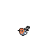 Fletchling icons