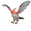 Talonflame ultra-sun-ultra-moon