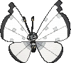 Vivillon x-y