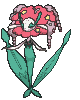Florges animated