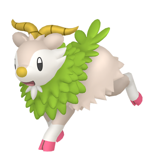 Skiddo home shiny