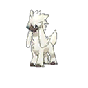Furfrou ultra-sun-ultra-moon