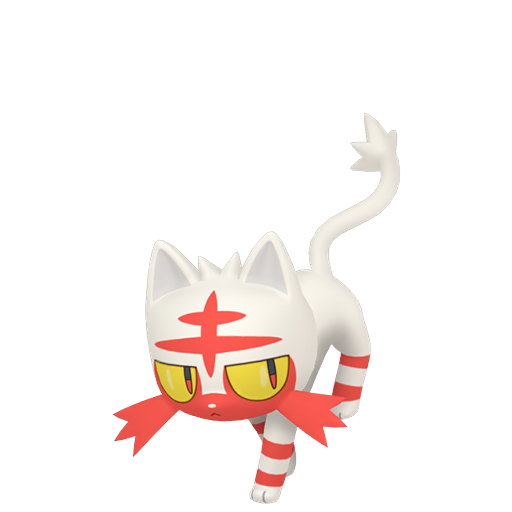 Litten home shiny