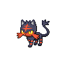 Litten black-white