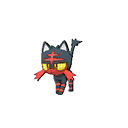Litten ultra-sun-ultra-moon