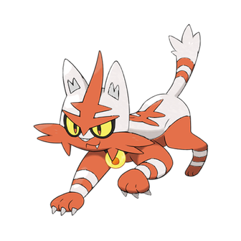 Torracat Shiny