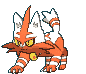 Torracat animated shiny