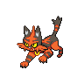 Torracat black-white