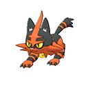 Torracat ultra-sun-ultra-moon