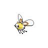 Cutiefly black-white