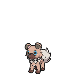 Rockruff scarlet-violet