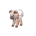 Rockruff ultra-sun-ultra-moon