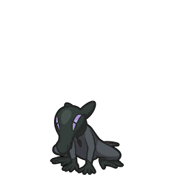 Salandit scarlet-violet