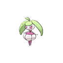 Steenee ultra-sun-ultra-moon