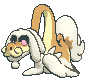 Drampa animated shiny