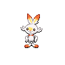 Scorbunny black-white