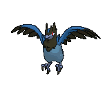 Corvisquire animated