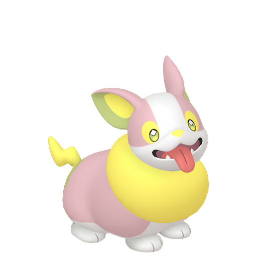 Yamper home shiny