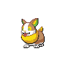 Yamper black-white