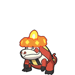 Crocalor scarlet-violet